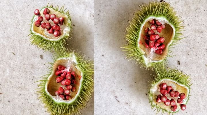 Histórias Fascinantes por Trás dos Pratos Mais Famosos da Gastronomia